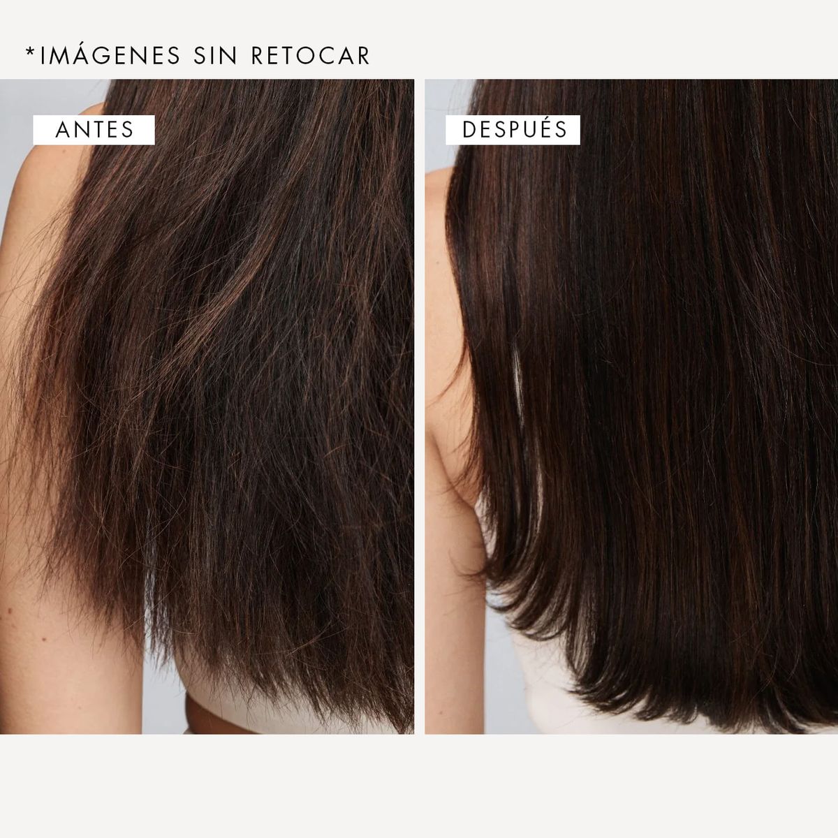 Acondicionador sin enjuague No. 5 de 100 ml